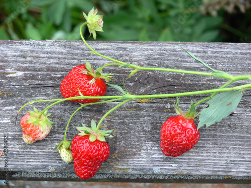 strawberries