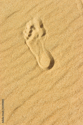 footprint