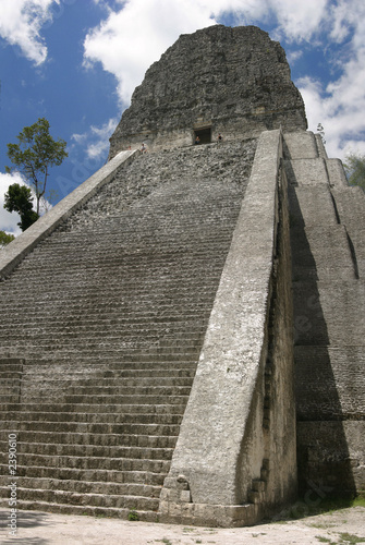 temple v, tikal