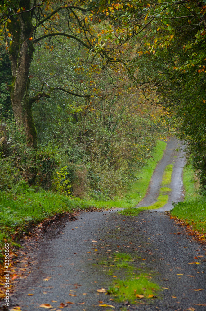 Naklejka premium irish country road