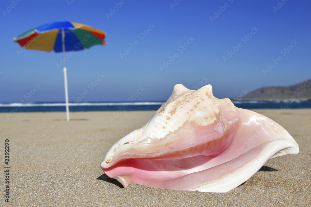 playa tropical playa tropical