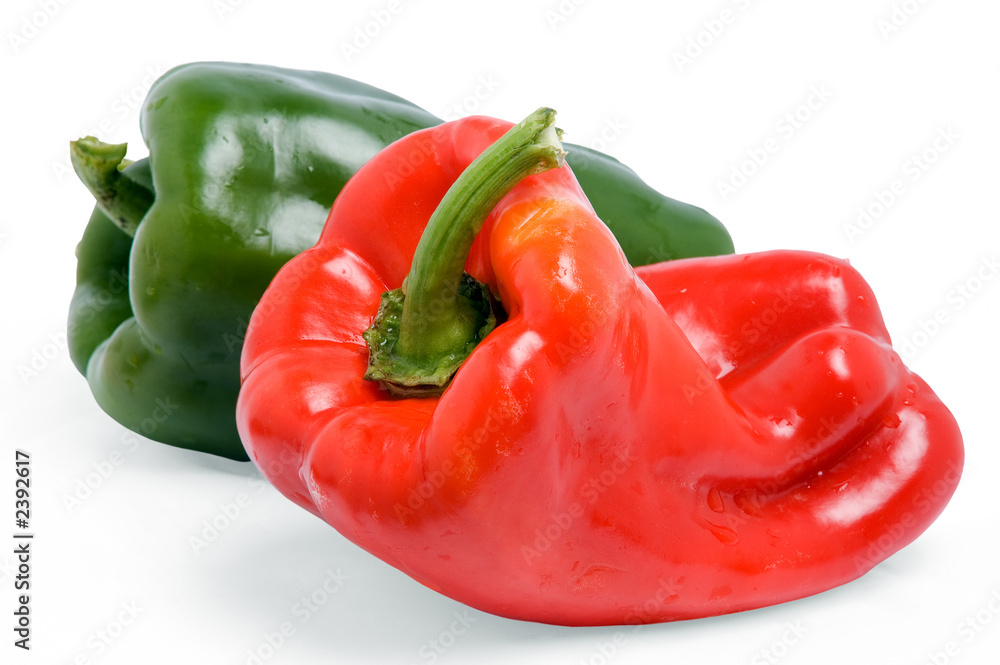 capsicum capsicum