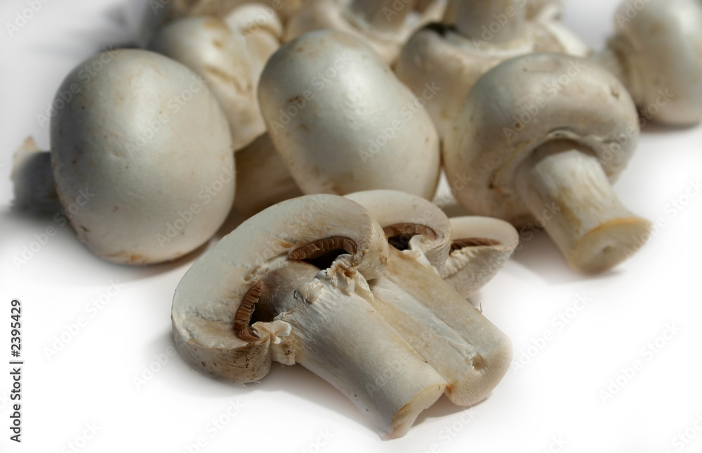 Fototapeta premium bunch of fresh mushroom