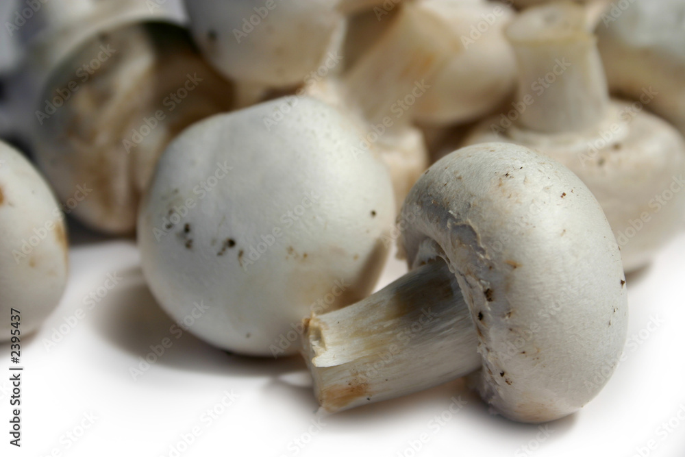 bunch of fresh mushroom