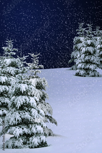 winter snow