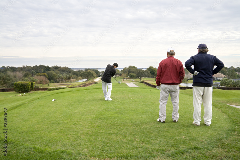 Fototapeta premium golfers