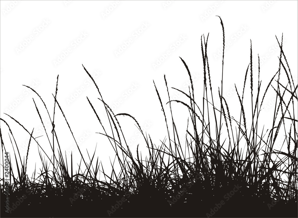 grass vector silhouette