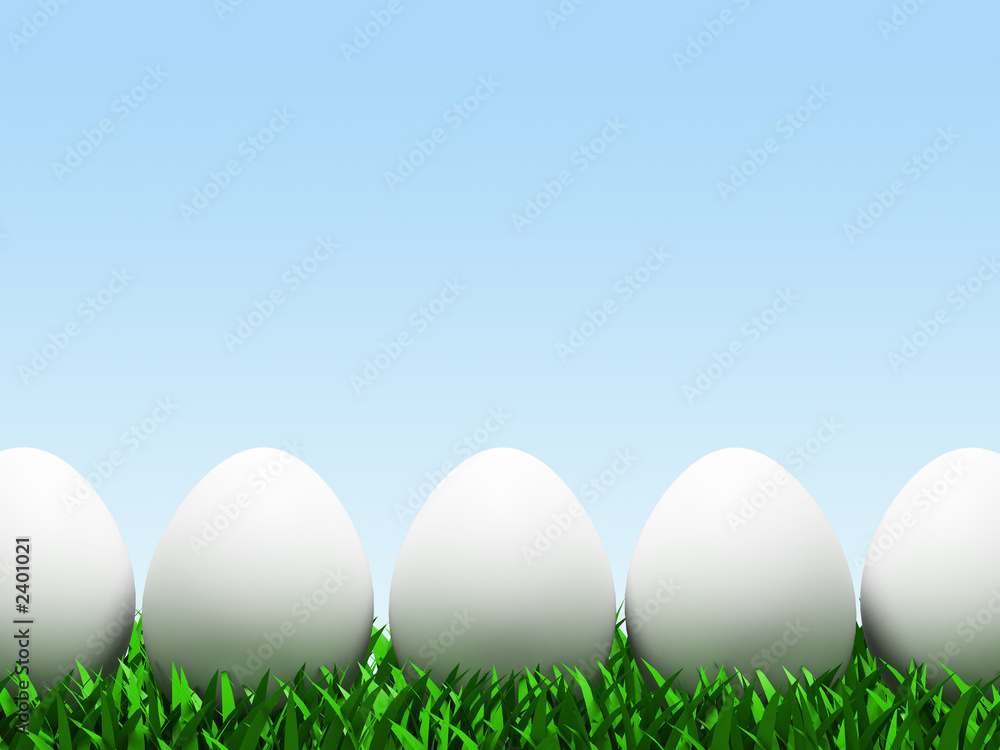 five eggs in row isolated on white background