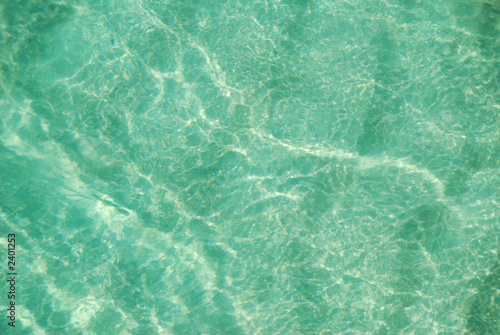 clear ocean water © Cheryl Casey