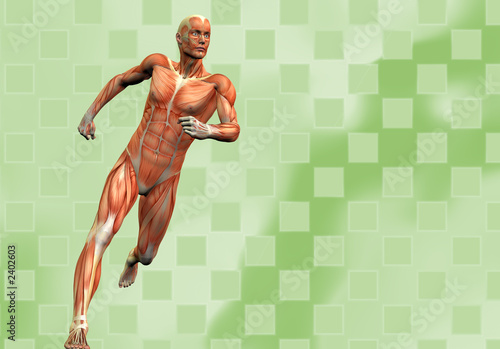 muscle man background