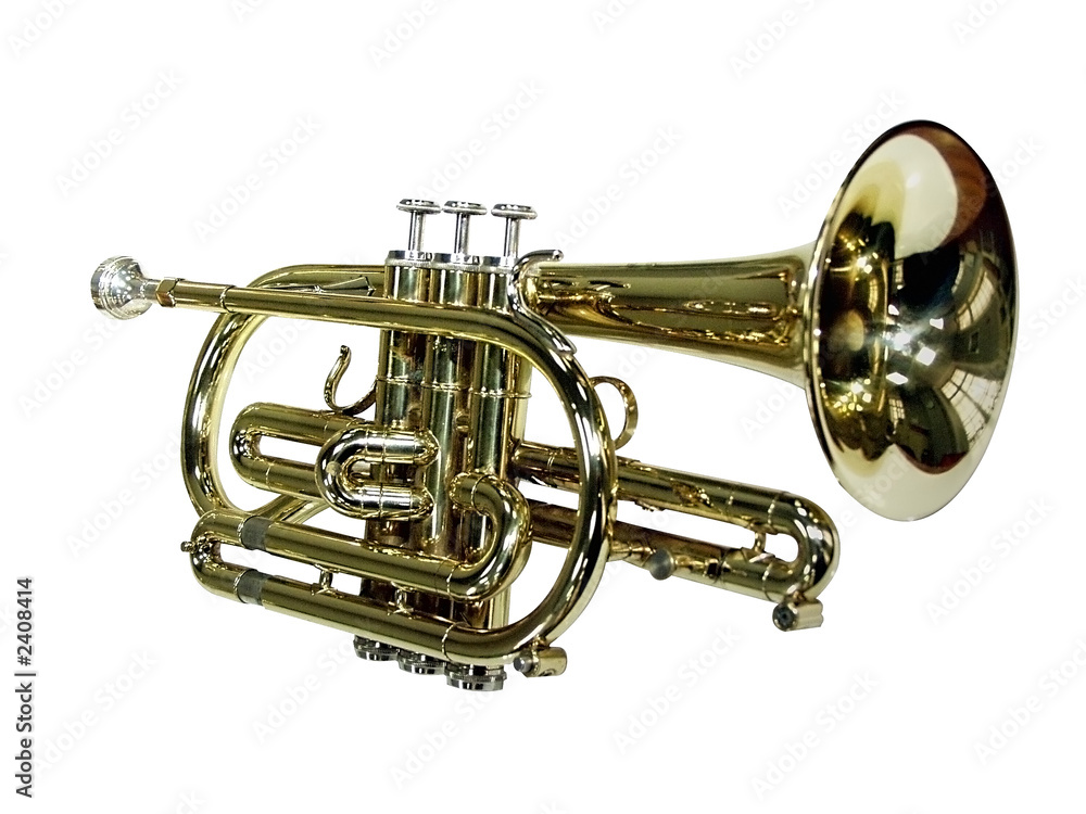 Obraz premium trompette