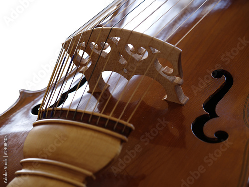 Canvastavla viole de gambe