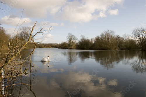 tranquil lake scene photo