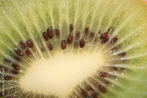 closeup of kiwi
