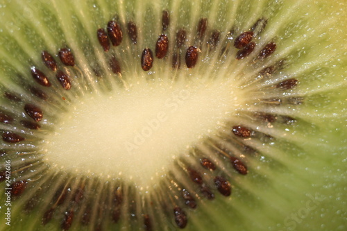 kiwi macro