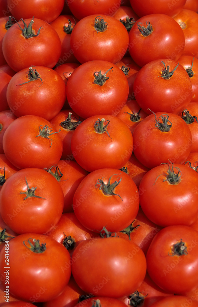 tomaten tomaten