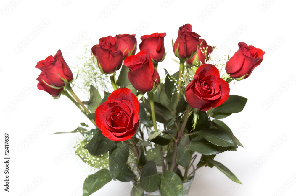 dozen roses for the one i love dozen roses for the one i love
