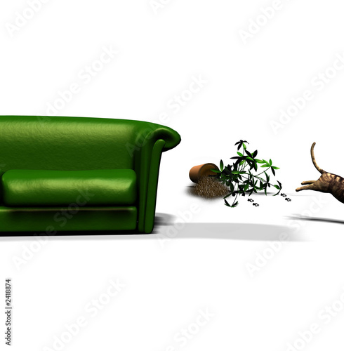 couch