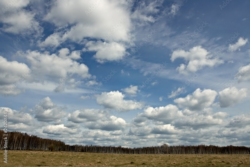 spring landscape with birch forest, field and clouds. spring landscape with birch forest, field and clouds.