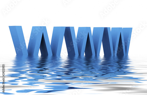 world wide web
