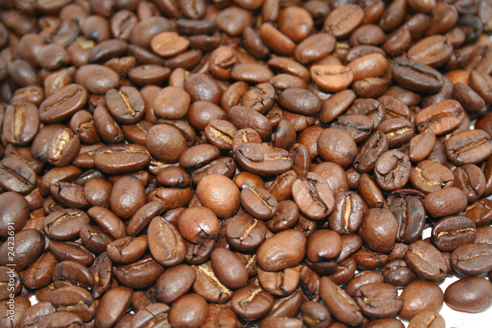 Naklejka premium coffee corns