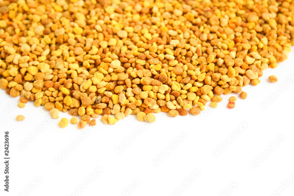 bee pollen bee pollen