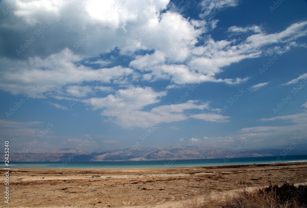 dead sea shore