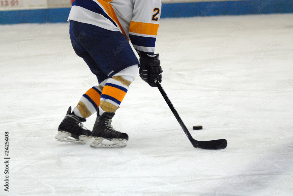 Obraz premium hockey