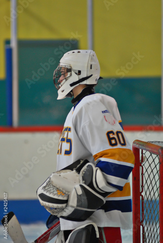 Photography hockey
