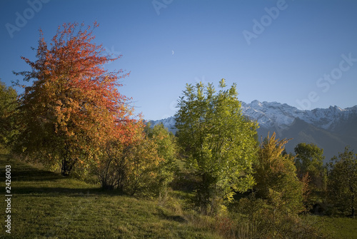 autunno paesaggio