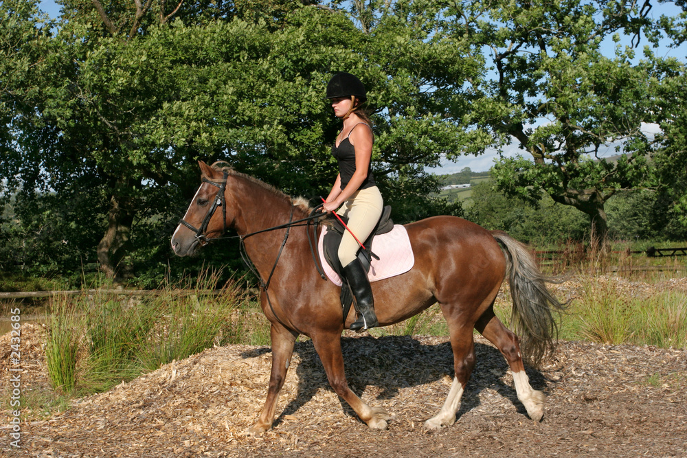 horse rider horse rider