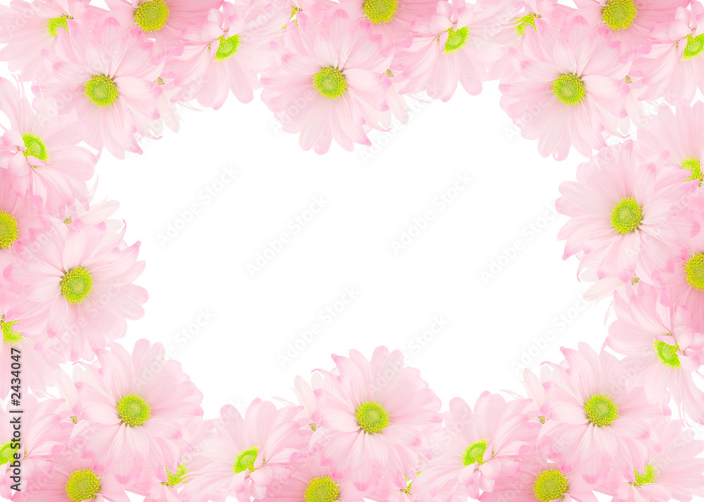 daisy background