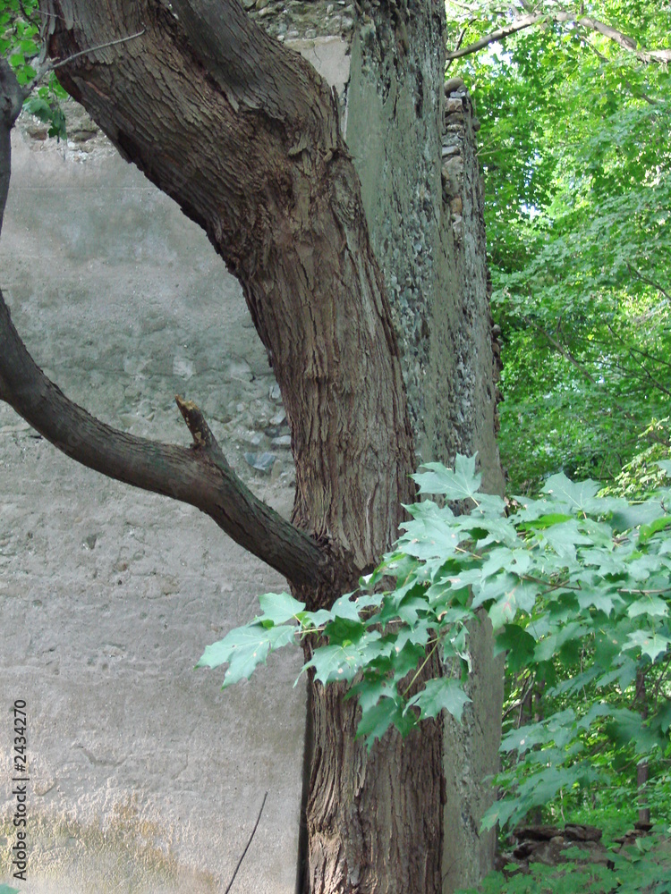 Fototapeta premium lime kiln fram house - corner view