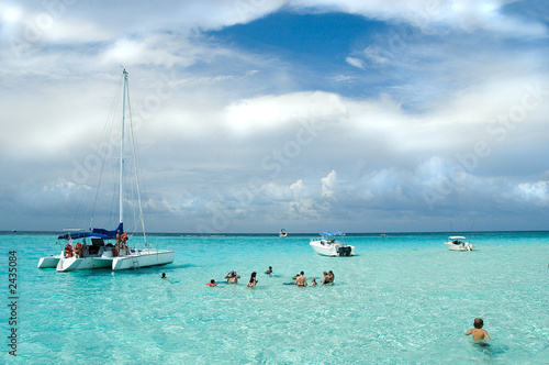 snorkel at stingray city