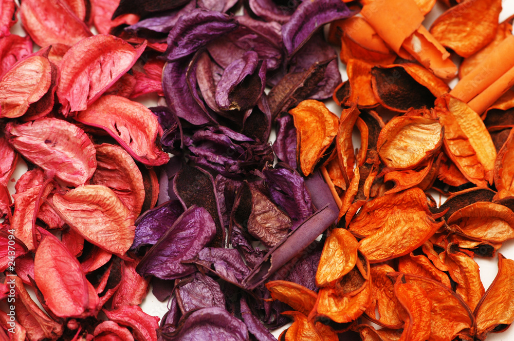 background with three colours of dry leaves background with three colours of dry leaves