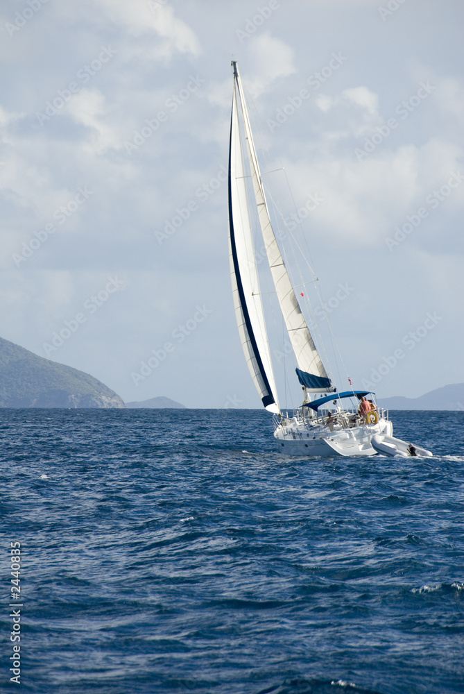 Naklejka premium sailing