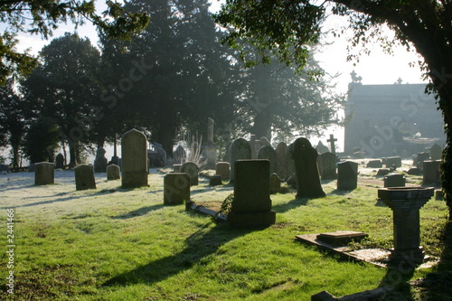 atmospheric cemetery scene in contre jour
