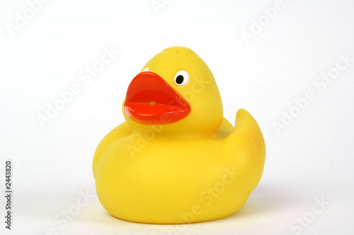 yellow plastic duck