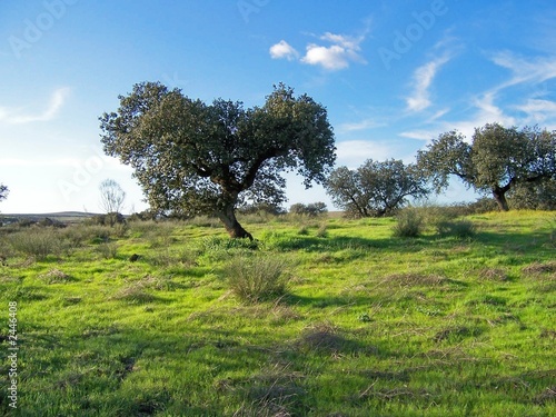 encinares de guareña