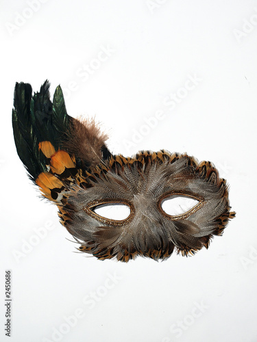 Εκτύπωση καμβά masque emplumé