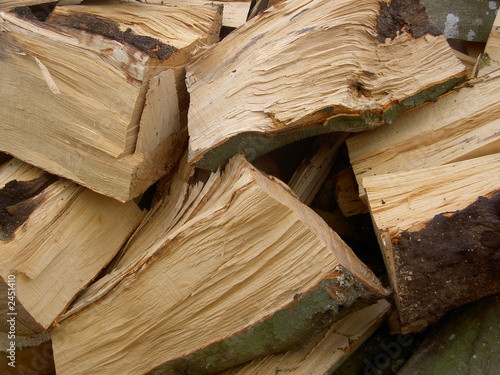 buche de bois
