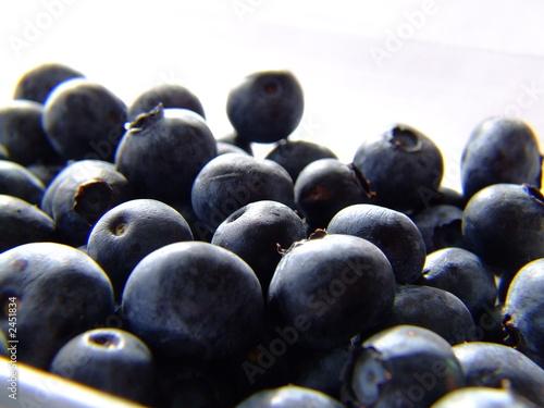 blueberry 3
