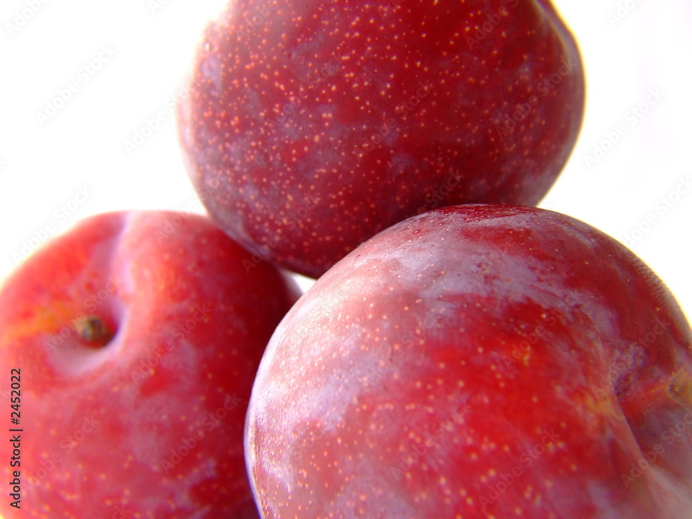 plum pile 4 plum pile 4