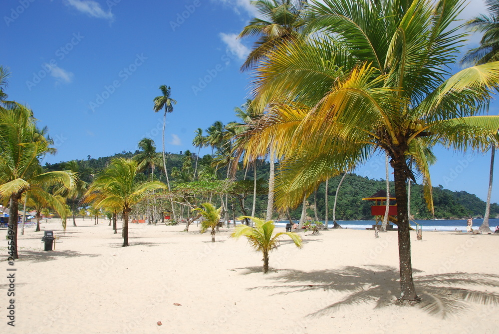 traumstrand auf trinidad