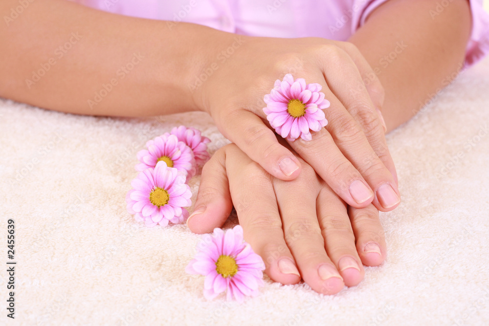beautiful hands beautiful hands