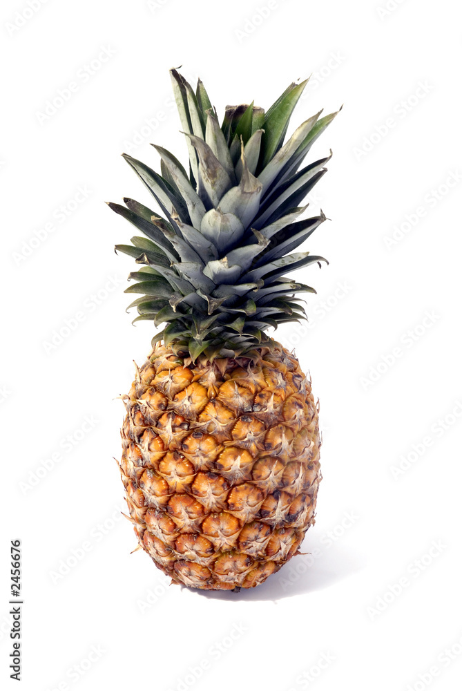 Fototapeta premium pinapple