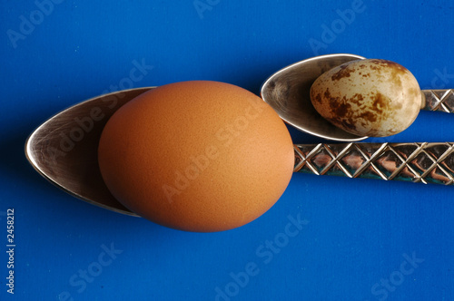 eggs and spoons photo