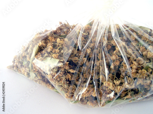 pack of lindens