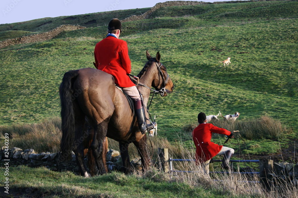 Bild auf Leinwand fox hunting
