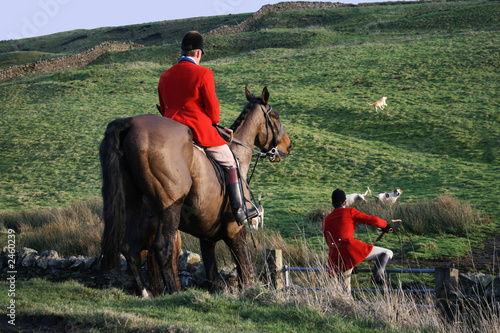 fox hunting